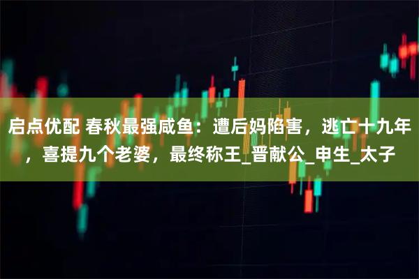 启点优配 春秋最强咸鱼：遭后妈陷害，逃亡十九年，喜提九个老婆，最终称王_晋献公_申生_太子