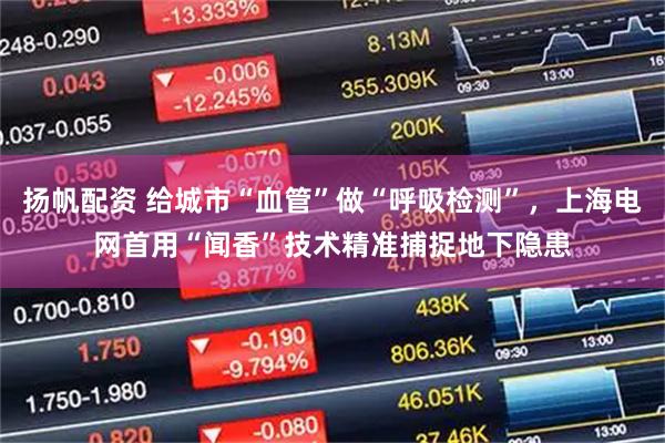 扬帆配资 给城市“血管”做“呼吸检测”，上海电网首用“闻香”技术精准捕捉地下隐患